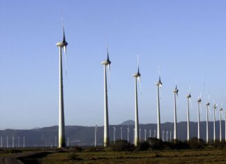Fontes renováveis na matriz energética devem aumentar em 2022, diz MME