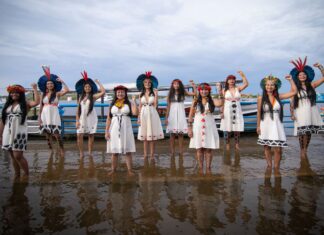 País celebra o Dia da Amazônia neste sábado