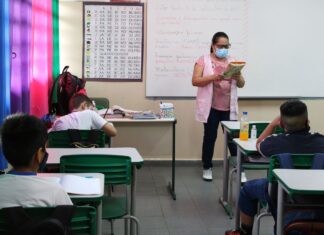 Em 2040, Brasil poderá ter carência de 235 mil professores, diz estudo