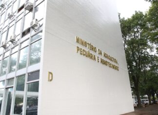 Agricultura familiar terá novo cadastro a partir desta terça-feira