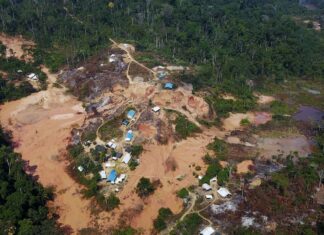 Maioria do ouro vendido no país em 2021 tinha indício de ilegalidade
