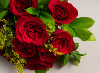 Dia dos Namorados terá reforço de 50 toneladas de rosas colombianas