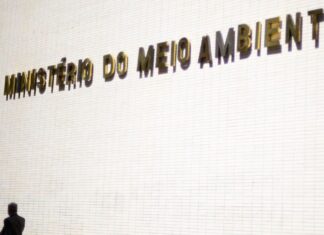 Ministério cria mesa de negociação com servidores do setor ambiental