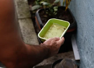Vacina da dengue agrega outras estratégias de combate, diz ministério