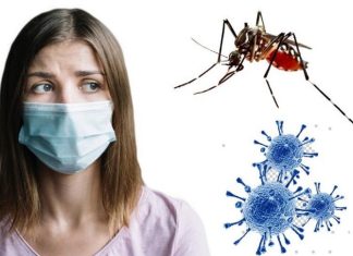 Entenda a diferença dos sintomas de dengue e de covid-19