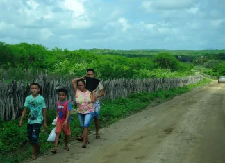 Famílias em risco podem receber fomento rural mais de uma vez Reingresso começará a valer a partir do dia 3 de junho