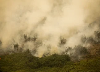 Governo vai liberar R$ 100 mi para combate a incêndios no Pantanal