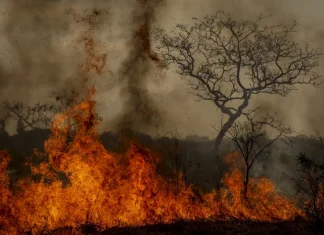 Chuva ajudou no combate a incêndios na Chapada dos Veadeiros