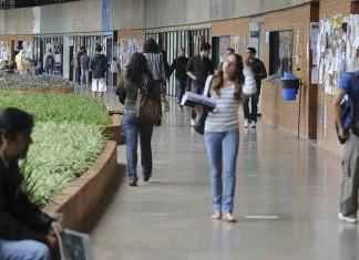Pé-de-Meia Licenciaturas: prazo para pré-inscrição termina domingo