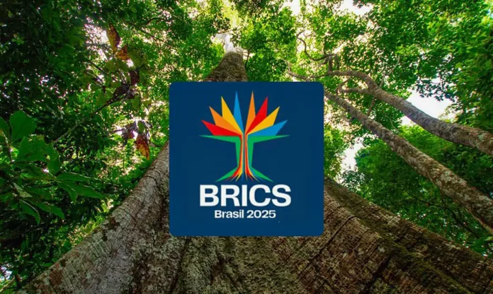 identidade_visual_do_brics_brasil