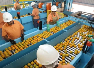 Confira a lista de quase 700 produtos que não serão taxados pelos EUA