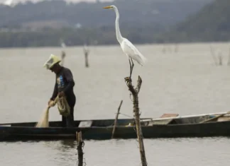 Mudanças aprovadas para o seguro-defeso previnem fraudes, diz relator