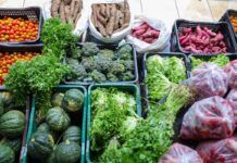 Segurança alimentar exige esforço coletivo e articulação