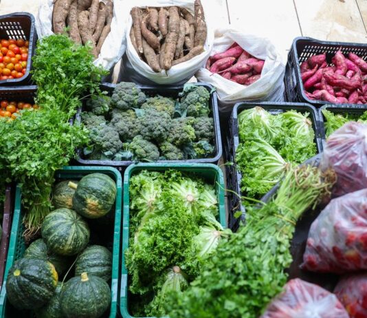 Segurança alimentar exige esforço coletivo e articulação